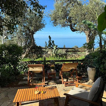 Olives Terrace B2A5 Apartment Dhermi Bagian luar foto